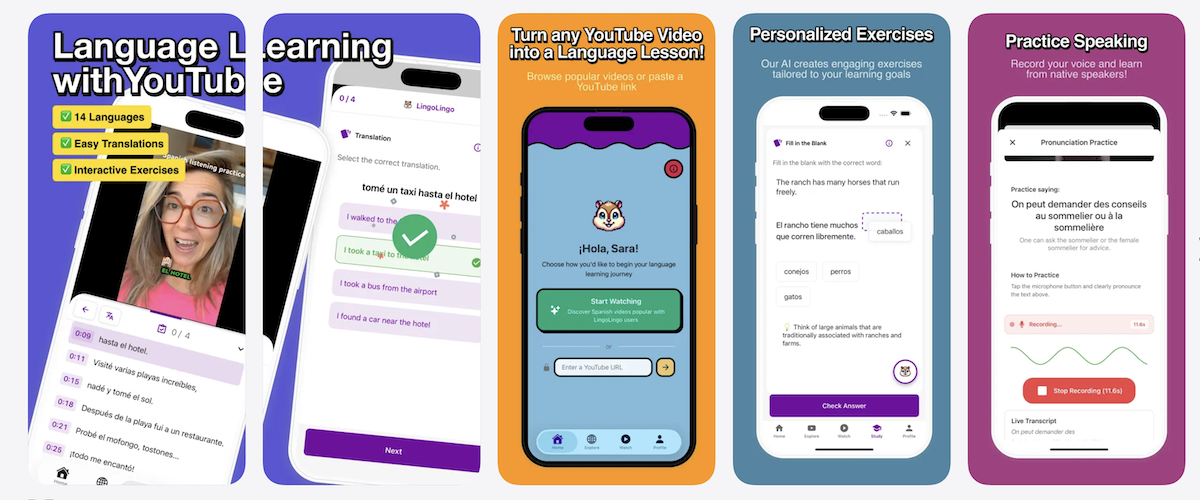 lingolingo app